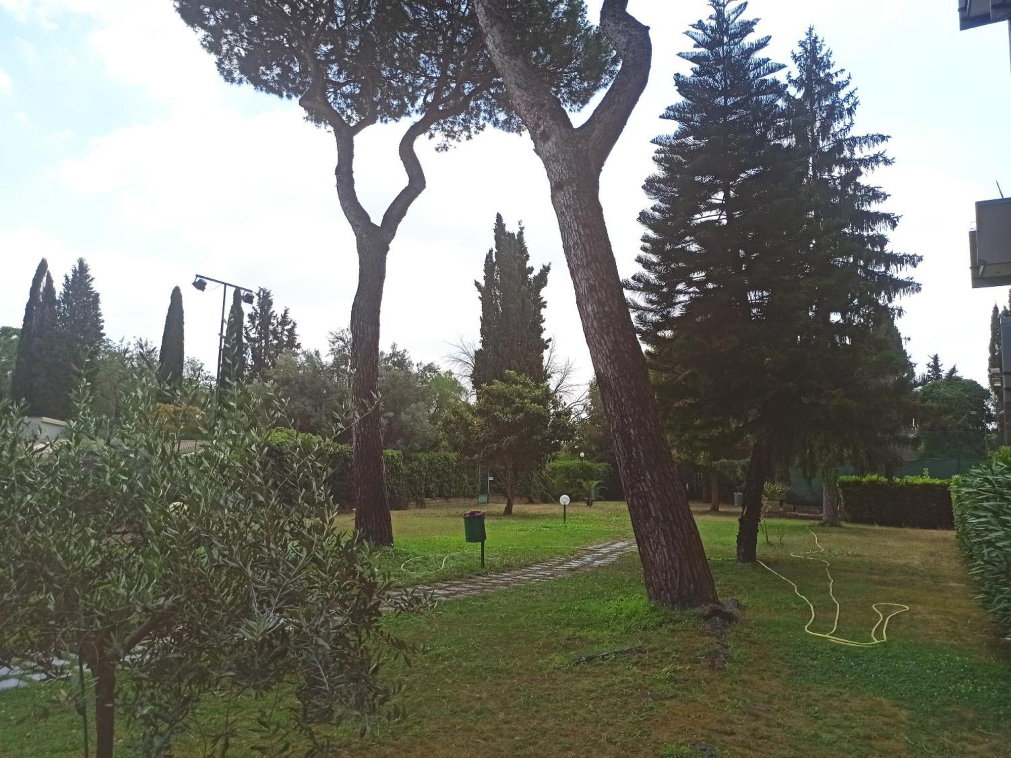 Aurelia Antica Terrace Apt Free Pool And Parking Roma Exterior foto
